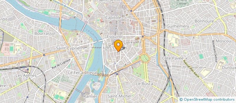 localisation de l'entreprise MADAME MADELEINE CHARLIOMALS  TOULOUSE