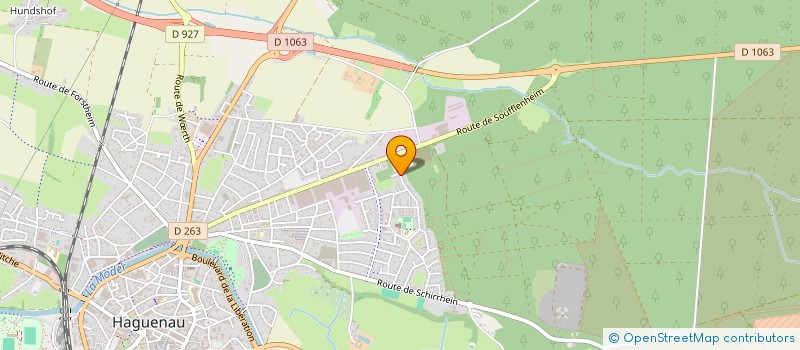 localisation de l'entreprise MADAME MADELEINE REMI  HAGUENAU