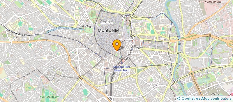 localisation de l'entreprise MADAME MADELEINE THOMAS à MONTPELLIER