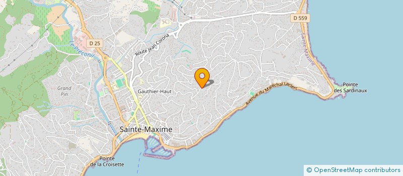 localisation de l'entreprise MADAME MADELYNE FRANCOIS à SAINTE-MAXIME