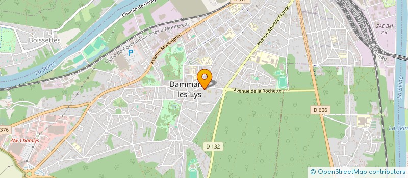 localisation de l'entreprise MADAME MADIAVA COULIBALY à DAMMARIE-LES-LYS