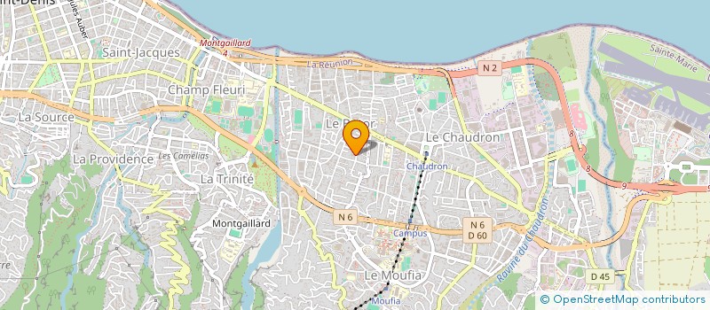 localisation de l'entreprise MADAME MAELLE BEN NEJMA  SAINT-DENIS