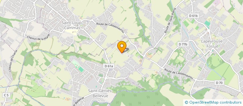 localisation de l'entreprise MADAME MAELLE BUSSER  SAINT-GENIES-BELLEVUE