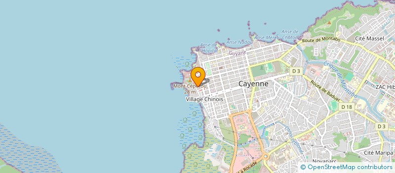 localisation de l'entreprise MADAME MAELLE FURTADO RIBEIRO  CAYENNE