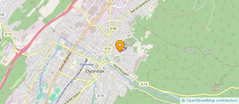 localisation de l'entreprise MADAME MAELLE HASSANE à OYONNAX