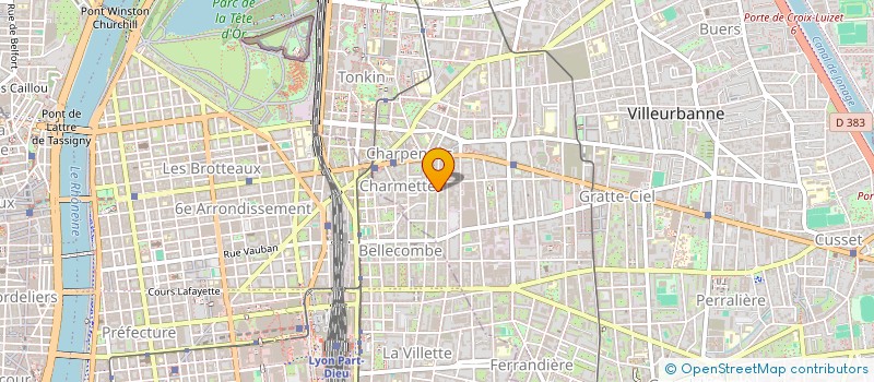 localisation de l'entreprise MADAME MAELLE PARRAS  VILLEURBANNE