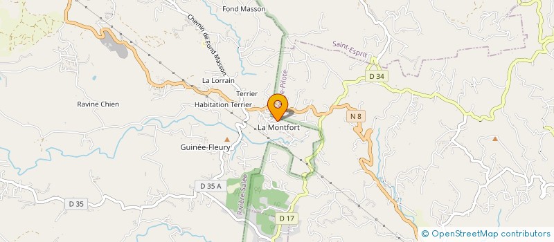 localisation de l'entreprise MADAME MAELLE ROUGNANT  RIVIERE-SALEE