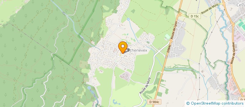 localisation de l'entreprise MADAME MAELLE THIRVAUDEY  ECHENEVEX