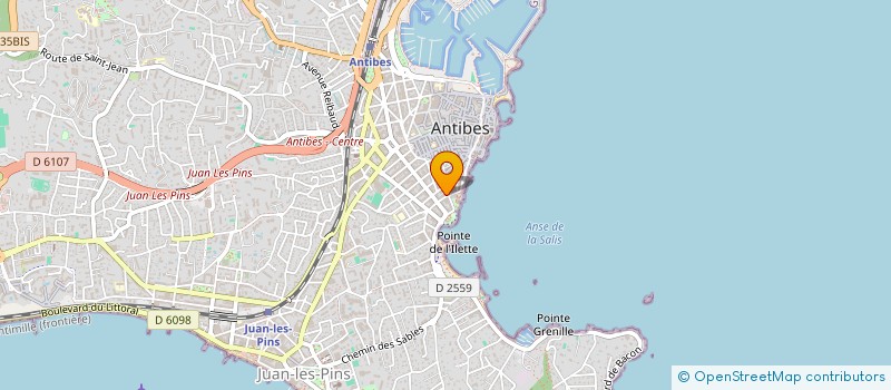 localisation de l'entreprise MADAME MAELLE VANDIERENDONCK  ANTIBES