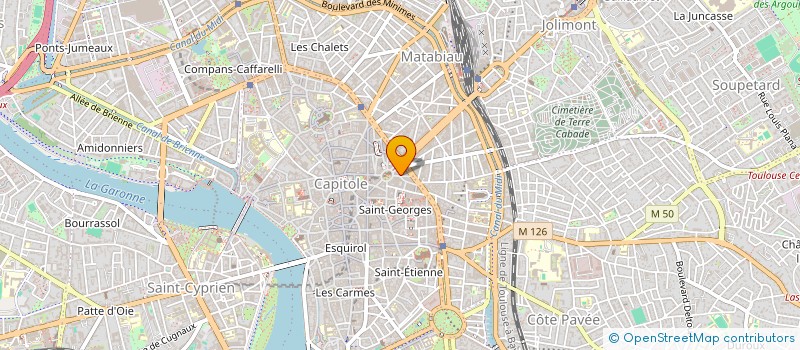 localisation de l'entreprise MADAME MAELYS BLOMME  TOULOUSE