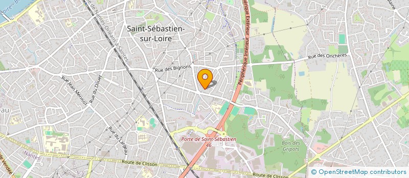 localisation de l'entreprise MADAME MAELYS NICOLAS  SAINT-SEBASTIEN-SUR-LOIRE