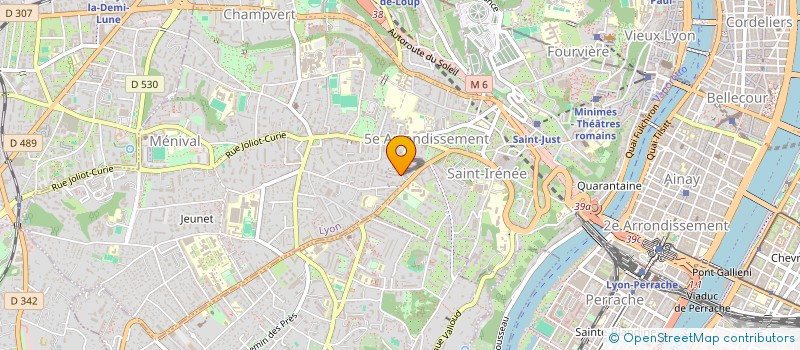 localisation de l'entreprise MADAME MAELYS ODILE MARIE GOUINEAU  LYON