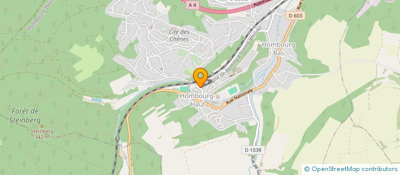 localisation de l'entreprise MADAME MAEVA CERCEAU  HOMBOURG-HAUT