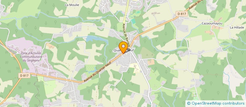 localisation de l'entreprise MADAME MAEVA DANOIS  SAINT-MARTIN-DE-SEIGNANX