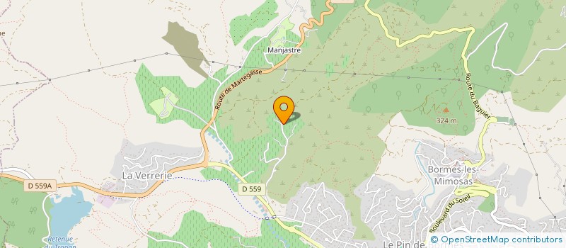 localisation de l'entreprise MADAME MAEVA FERRAND à BORMES-LES-MIMOSAS