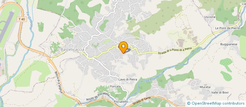 localisation de l'entreprise MADAME MAEVA FRANCISCO  BASTELICACCIA