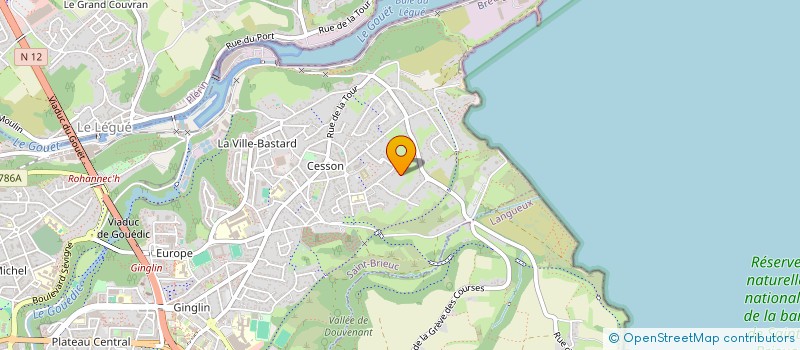 localisation de l'entreprise MADAME MAEVA LE BOURLIGU à SAINT-BRIEUC