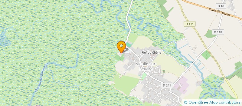 localisation de l'entreprise MADAME MAEVA PONSIN  NIEULLE-SUR-SEUDRE