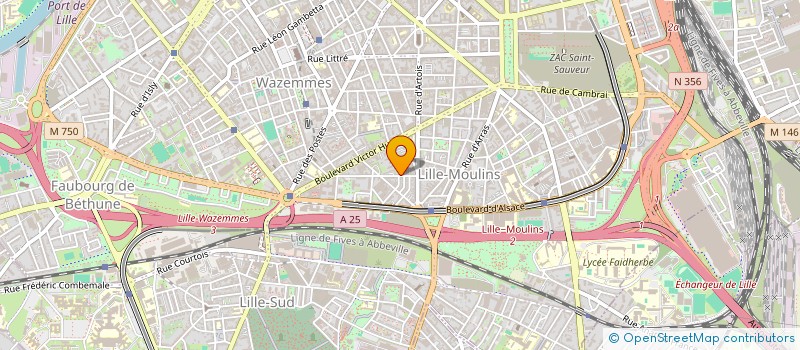 localisation de l'entreprise MADAME MAEVA SAUNER à LILLE