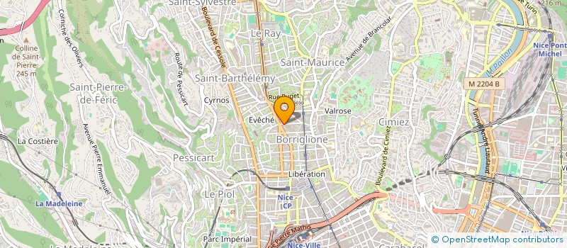 localisation de l'entreprise MADAME MAFALDA SOUSA CARVALHO à NICE