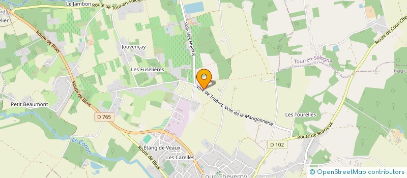 localisation de l'entreprise MADAME MAGALI BLOT  COUR-CHEVERNY