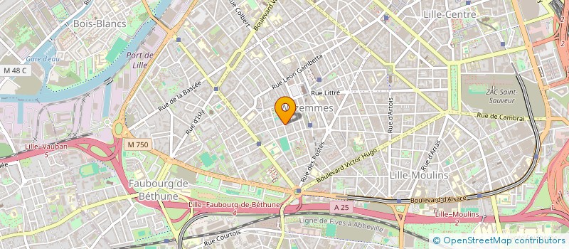 localisation de l'entreprise MADAME MAGALI BOUCHER  LILLE