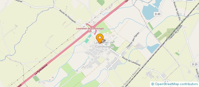 localisation de l'entreprise MADAME MAGALI DELMAS  LAVELANET DE COMMINGES