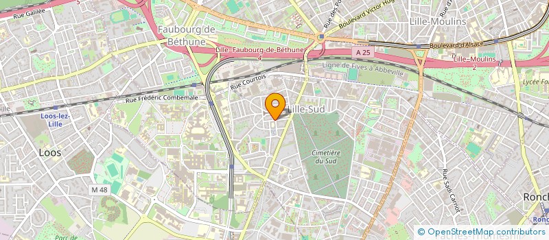 localisation de l'entreprise MADAME MAGALI DULAIN à LILLE