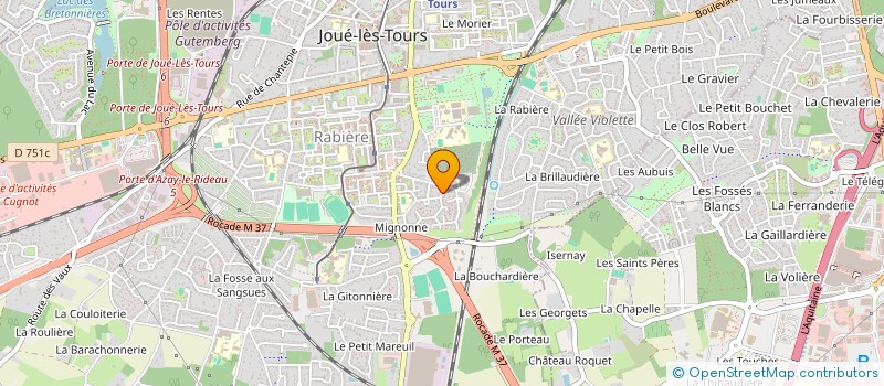 localisation de l'entreprise MADAME MAGALI LUQUE  JOUE-LES-TOURS