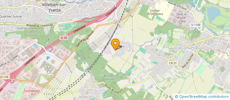 localisation de l'entreprise MADAME MAGALI MICHAUT  VILLEBON-SUR-YVETTE