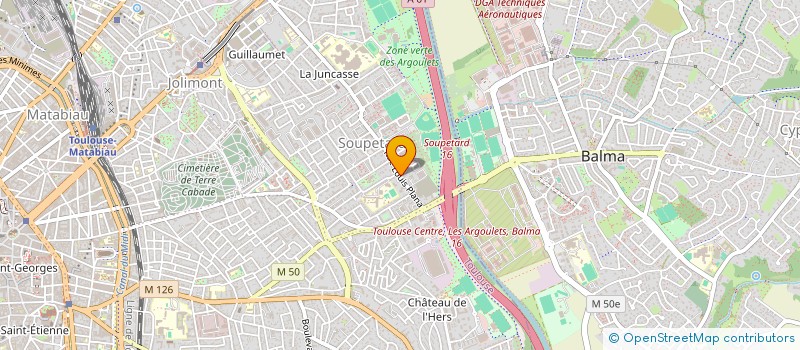 localisation de l'entreprise MADAME MAGALI SALESSES à TOULOUSE