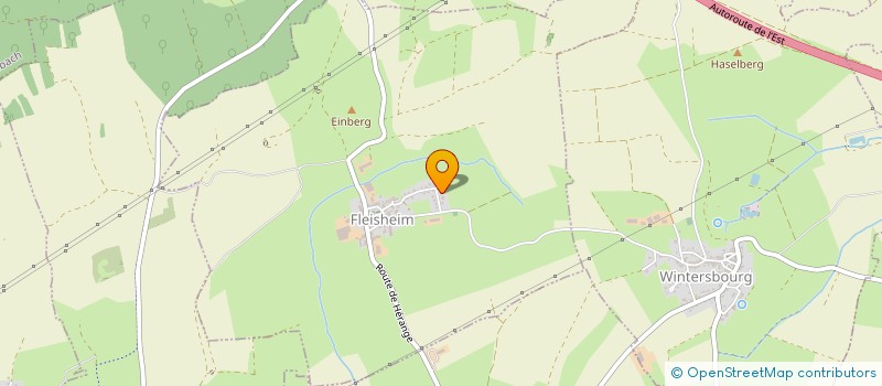 localisation de l'entreprise MADAME MAGALI WEISGERBER  FLEISHEIM