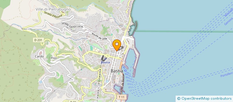 localisation de l'entreprise MADAME MAGALIE ANGELOTTI à BASTIA