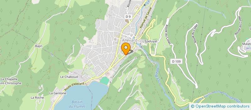 localisation de l'entreprise MADAME MAGALIE BUISSON DEBON  ALLEVARD