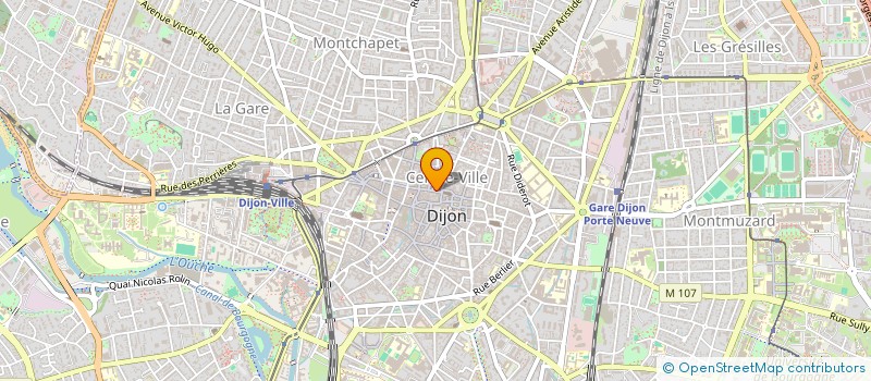 localisation de l'entreprise MADAME MAGALIE PIERRE  DIJON