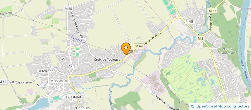 localisation de l'entreprise MADAME MAGALIE PRECIGOUT à AUSSONNE