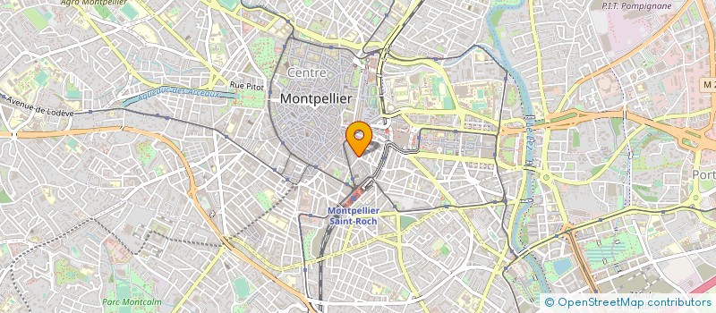 localisation de l'entreprise MADAME MAGDALENA ABU EL RIESH à MONTPELLIER