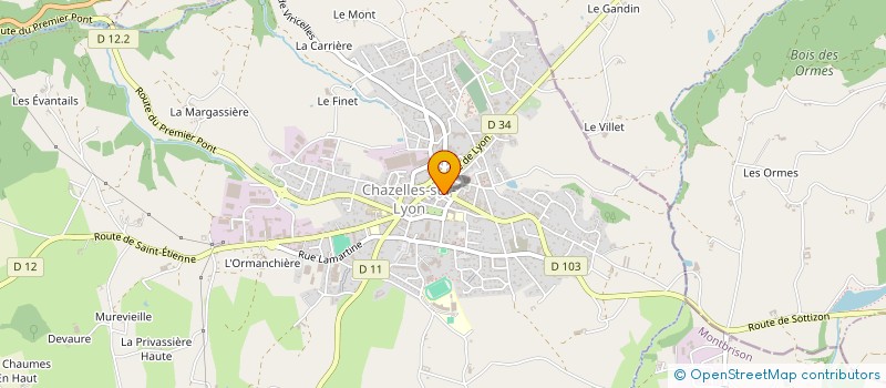 localisation de l'entreprise MADAME MAGDALENA KRUSZYNSKA à CHAZELLES-SUR-LYON