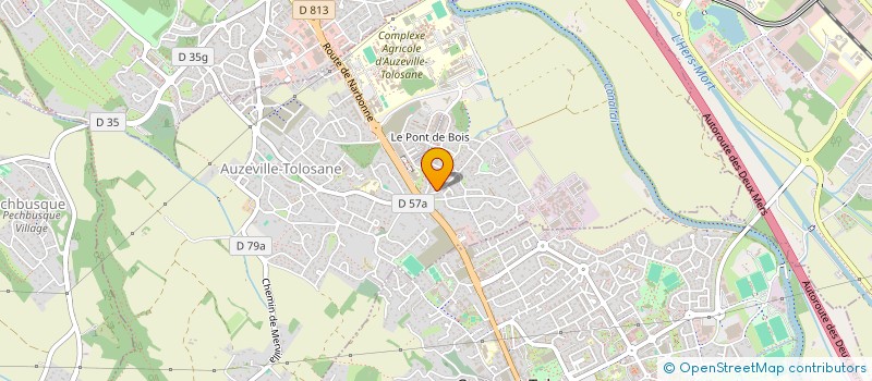 localisation de l'entreprise MADAME MAGUELONE ARIBAUD  AUZEVILLE-TOLOSANE