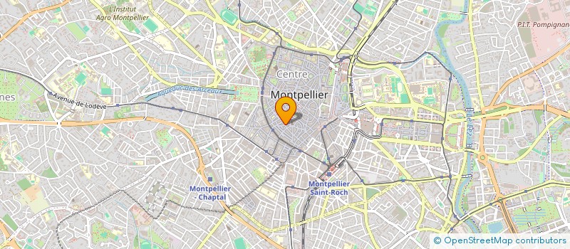 localisation de l'entreprise MADAME MAGUELONE COUDERC à MONTPELLIER