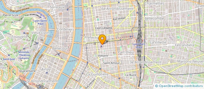 localisation de l'entreprise MADAME MAGUELONE RAMIREZ  LYON