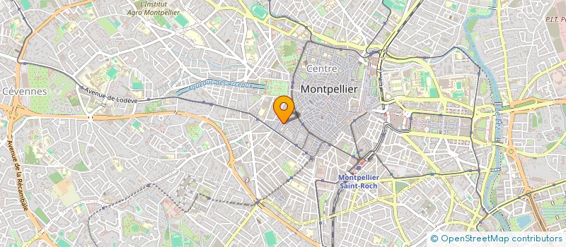 localisation de l'entreprise MADAME MAGUELONE VIDAL à MONTPELLIER