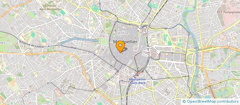 localisation de l'entreprise MADAME MAGUELONNE AGOSTINO  MONTPELLIER