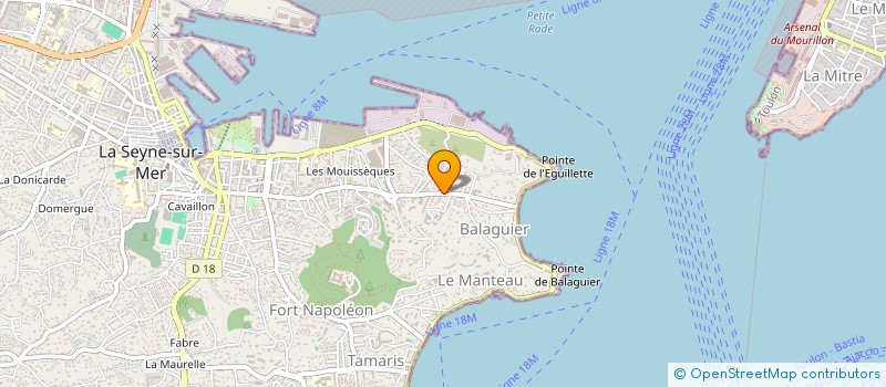 localisation de l'entreprise MADAME MAHALIA MAURICE à LA SEYNE-SUR-MER