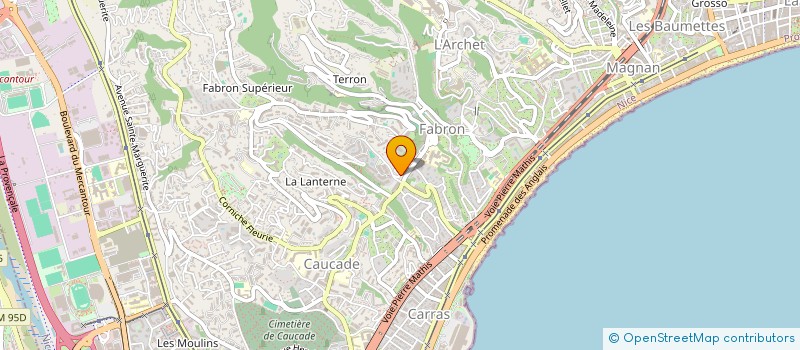 localisation de l'entreprise MADAME MAHNAZ AMIRSOLEYMANI à NICE