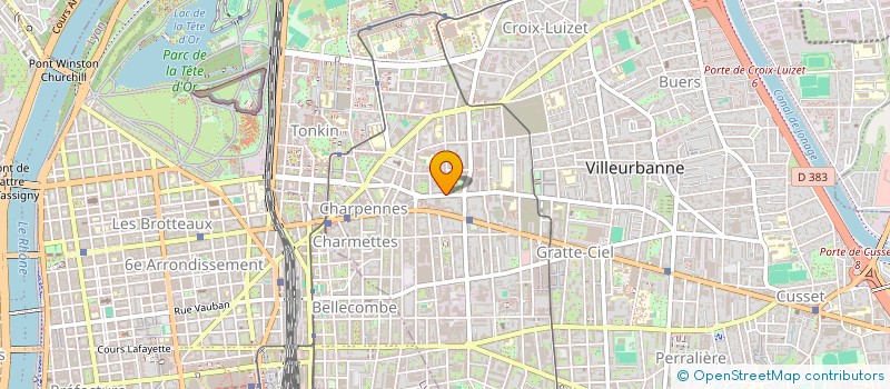 localisation de l'entreprise MADAME MAILY SELVE  VILLEURBANNE