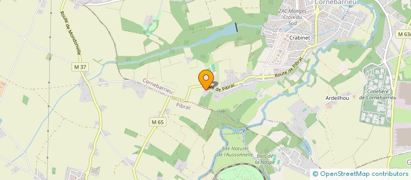 localisation de l'entreprise MADAME MAINA GUERREIRO  CORNEBARRIEU