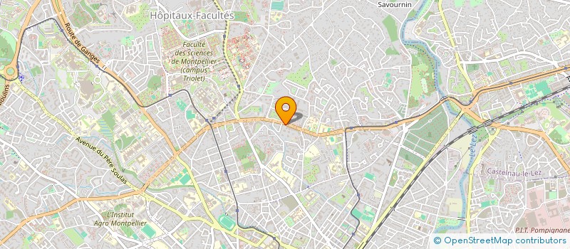 localisation de l'entreprise MADAME MAISSA ZERROUGUI  MONTPELLIER