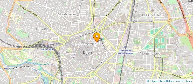 localisation de l'entreprise MADAME MAITE PETITJEAN à DIJON