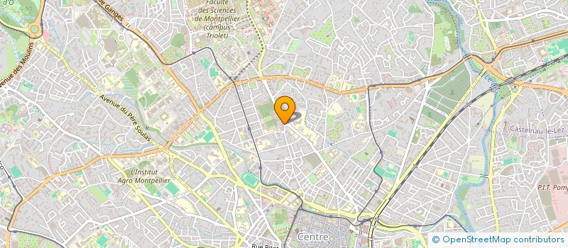 localisation de l'entreprise MADAME MALEKA ADJEMS à MONTPELLIER